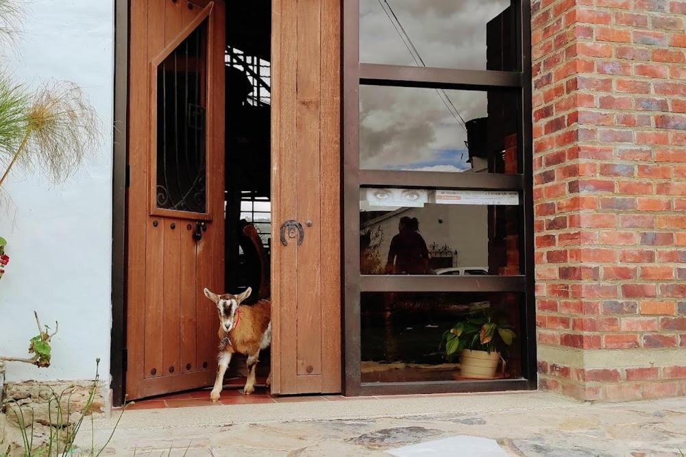 Cabanas & Glamping De Ruana Por Boyaca ไพพ่า ภายนอก รูปภาพ