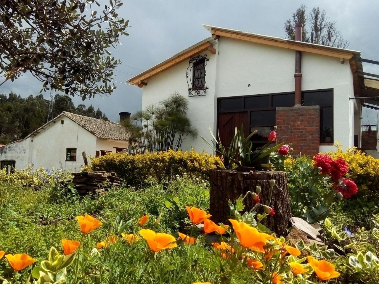 Cabanas & Glamping De Ruana Por Boyaca ไพพ่า ภายนอก รูปภาพ